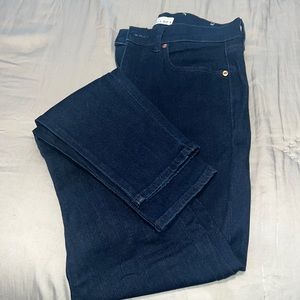 Ann Taylor Loft Dark Wash High Waist Skinny Jean